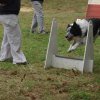 foire-haricots 2011-09-17et18